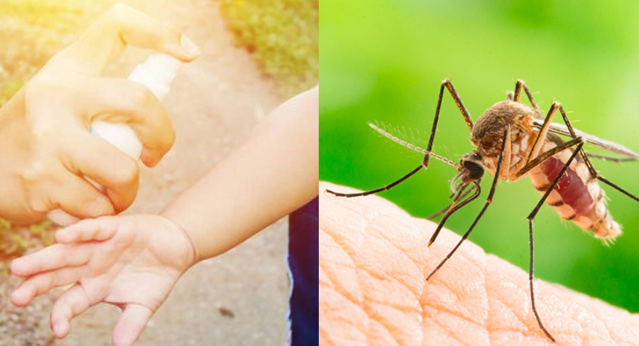 Βάλτε τέλος στα τσιμπήματα από τα κουνούπια: Μήπως είστε «γλυκοαίματοι»; Κίνηση ρουά ματ για να ησυχάσετε μια και καλή
