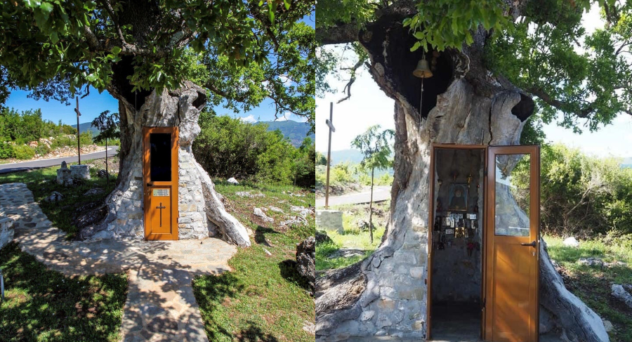 Η κρυμμένη Δεντροκκλησιά του Αγίου Παϊσίου: Το εντυπωσιακό εκκλησάκι μέσα σε δέντρο στο χωριό Αγία Βαρβάρα της Κόνιτσας