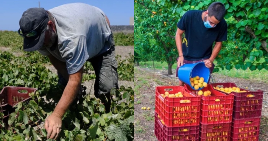 Ξέμεινε από εργατικά χέρια η καλλιέργεια της γης στην Ελλάδα