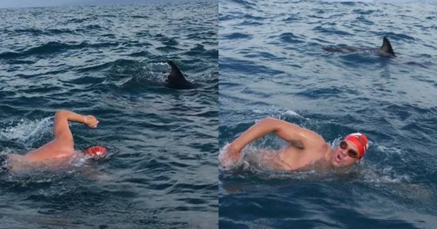 Απίστευτο και όμως αληθινό: Δελφίνια σχημάτισαν προστατευτικό κύκλο γύρω από κολυμβητή μόλις εμφανίστηκε καρχαρίας