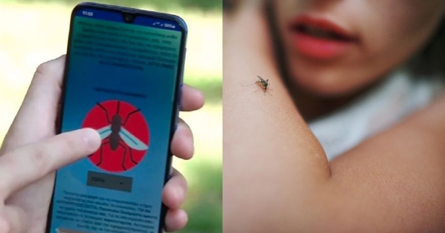 Τέλος τα κουνούπια: Παγκόσμια πρωτιά από Έλληνα που δημιούργησε δωρεάν εφαρμογή στο κινητό που διώχνει τα κουνούπια