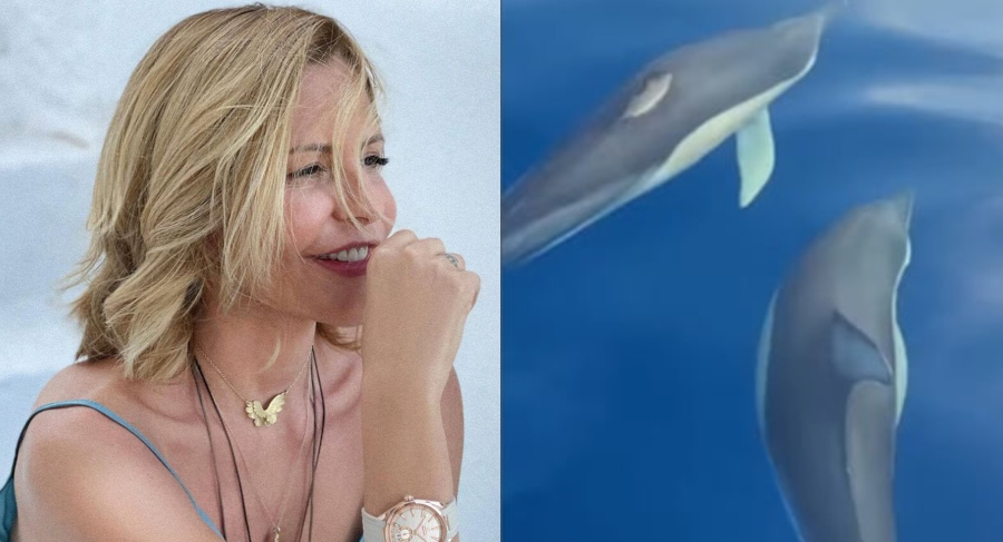 Μαγικές στιγμές για την Τζένη Μπαλατσινού: Το μαγευτικό βίντεο με το κοπάδι από δελφίνια και η αποθέωση στην Ελλάδα
