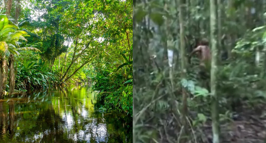Πέθανε το τελευταίο μέλος φυλής του Αμαζονίου: Δεν είχε έρθει σε επαφή με άλλους ανθρώπους για 26 χρόνια