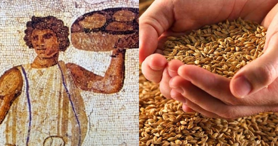 Ελάχιστοι το γνωρίζουν: Ο λόγος που οι Αρχαίοι Έλληνες δεν έτρωγαν ποτέ ψωμί