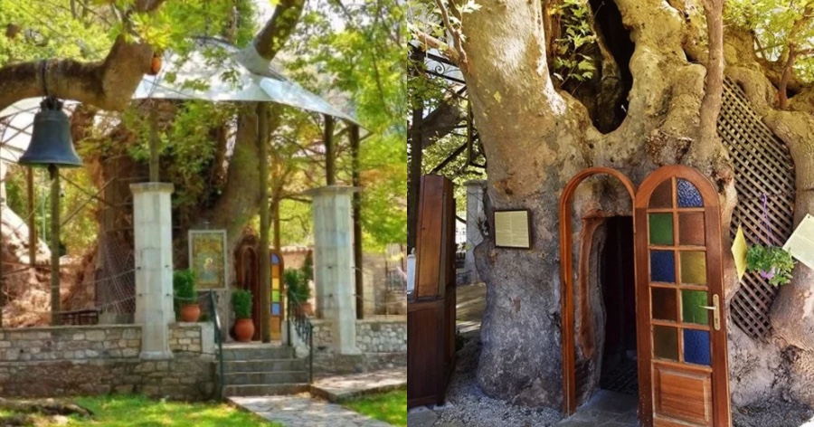 Το ομορφότερο Εκκλησάκι της Παναγίας «κρύβεται» σε έναν πλάτανο 1000 ετών: Η Παναγία η Πλατανιώτισσα