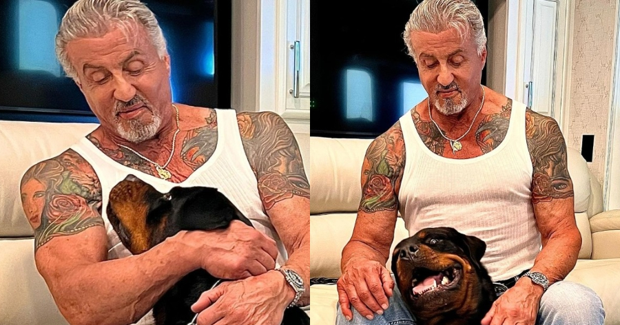 Φήμες θέλουν τον Σιλβέστερ Σταλόνε να έχει χωρίσει: «Εξαφάνισε» το τατουάζ με τη γυναίκα του και το κάλυψε με τον σκύλο από το «Rocky»
