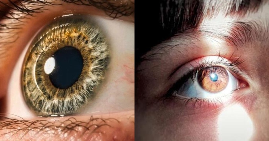 Επιστημονικό θαύμα: Τυφλοί άνθρωποι βλέπουν ξανά και μάλιστα άψογα με εργαστηριακό κερατοειδή χιτώνα