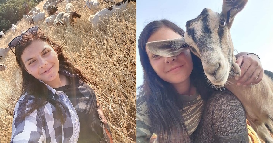 Η ζωή της Μαρίας Ρέτσας στην κτηνοτροφία: Η 20χρονη που βόσκει 100 γιδοπρόβατα στην Εύβοια δίνει ελπίδα για την νέα γενιά
