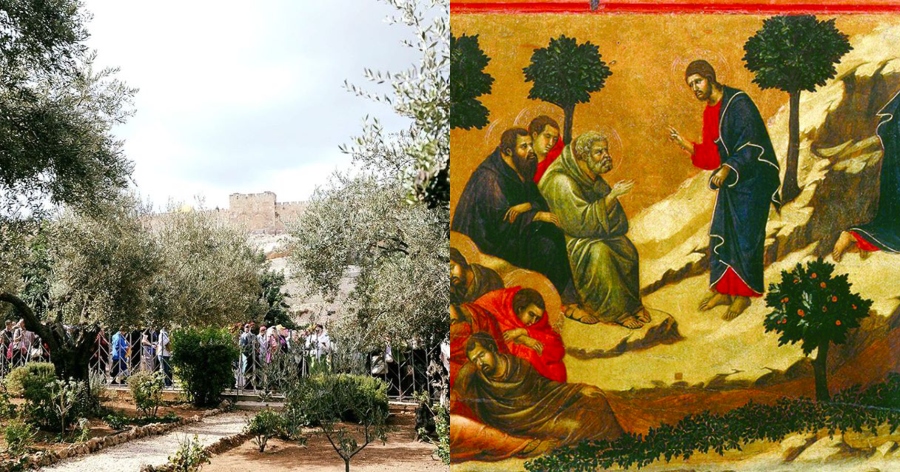 Η τελευταία προσευχή πριν την Σταύρωση: O τόπος στον οποίο προσευχήθηκε ο Χριστός πριν τον μαρτυρικό θάνατo