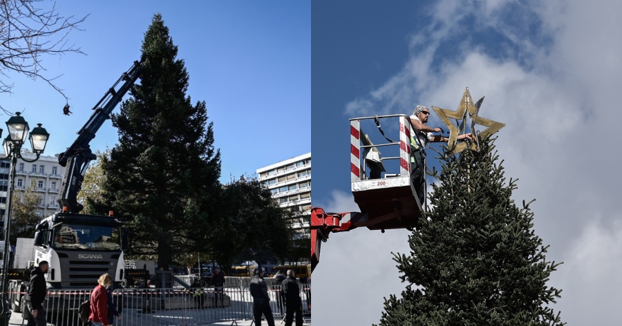 Ψηλό σαν 7όροφη πολυκατοικία: Στήθηκε το χριστουγεννιάτικο δέντρο στο Σύνταγμα