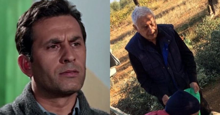 Άφησε τη σκηνή και έπιασε την βέργα: Ο Νίκος Ξανθόπουλος στα 88 του μαζεύει ελιές και είναι παιδί του λαού
