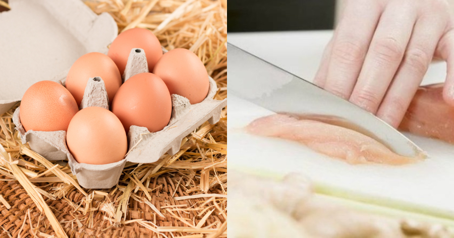 Ανακοίνωση-καταπέλτης για ακατάλληλα κοτόπουλα και αυγά που κυκλοφορούν: Τρόφιμα με σαλμονέλα καταλήγουν στο πιάτο μας