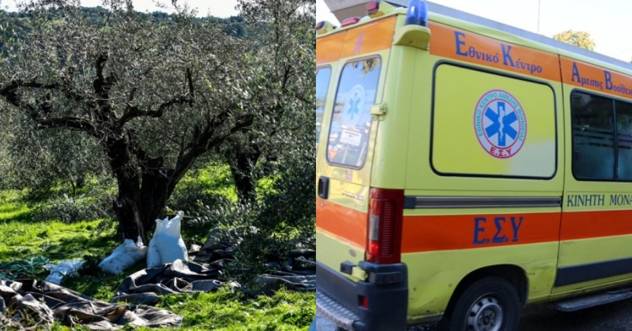 «Πάγωσε» η Κρήτη: Πέθανε ξαφνικά γνωστός γιατρός την ώρα που ράβδιζε ελιές στο χωράφι του