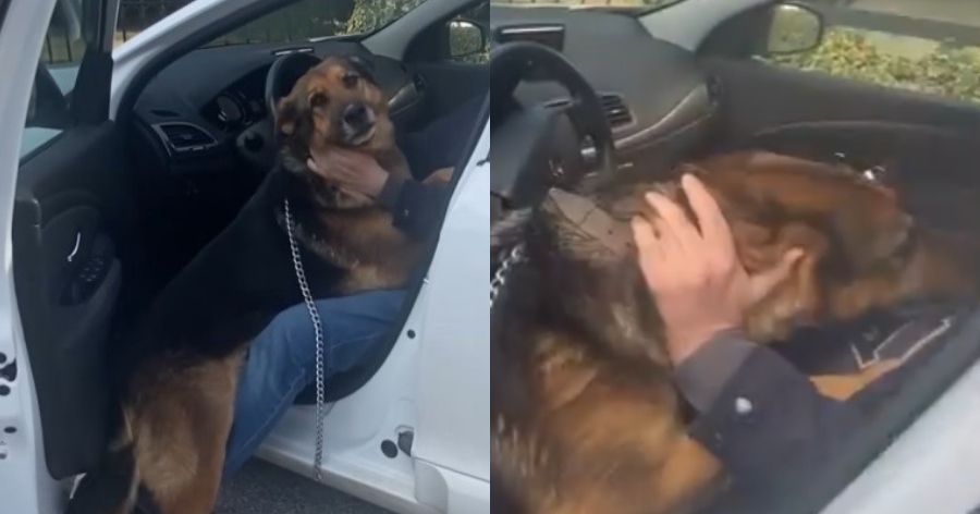 Σαν ταινία στον κινηματογράφο: Θεσσαλονικιός βρήκε τον σκύλο του, που είχε χαθεί το 2017 και η αντίδρασή του προκαλεί συγκίνηση