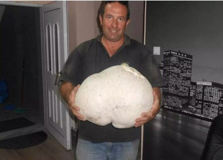 Γρεβενά: Περπατούσε στο βουνό κι έπεσε πάνω σε μια εικόνα που δεν θα ξεxάσει ποτέ