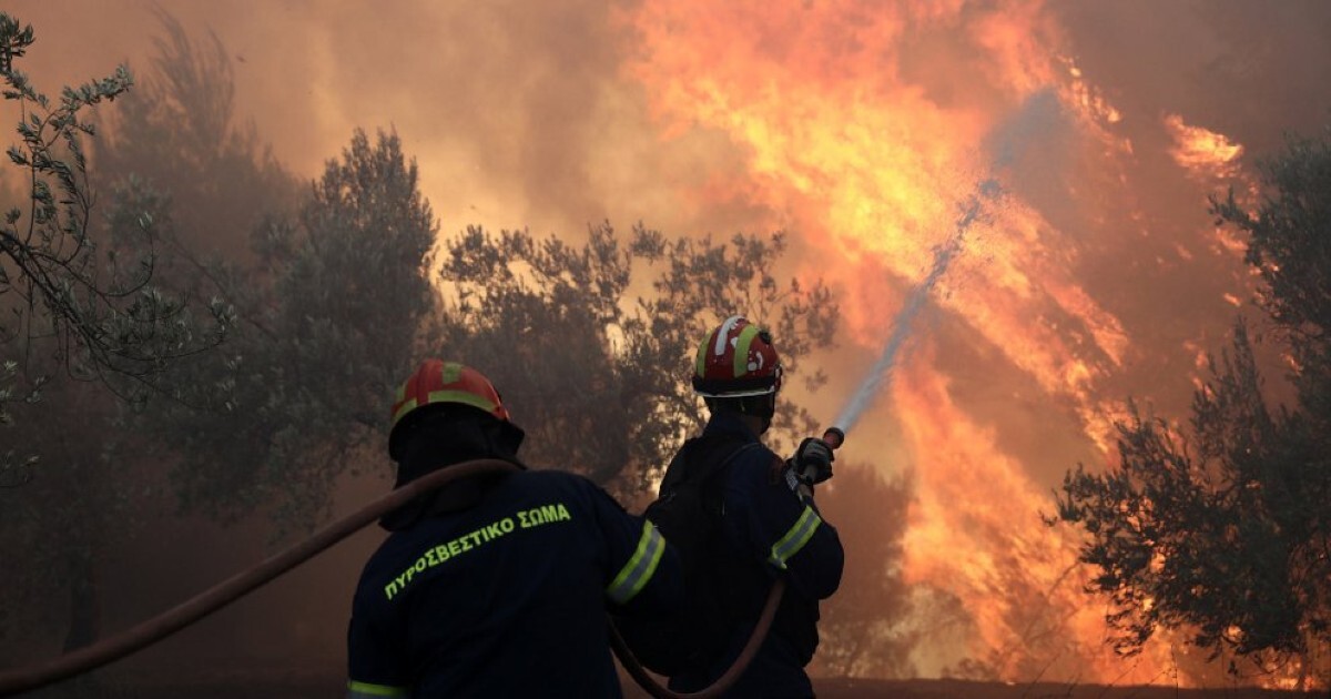 Φωτιά τώρα στους Δελφούς: Μεγάλη κινητοποίηση της Πυροσβεστικής