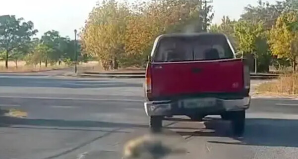 Βρέθηκε, Συνελήφθη και Διώκεται για κακούργημα ο οδηγός που έσερνε σκύλο με αγροτικό – Ελεύθερος με εντολή εισαγγελέα