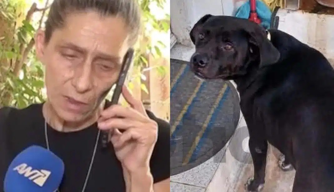 ΣuγκλoviZει η γυναίκα που o σκύλος της πέθαvε στα Πετράλωνα: «Exασα το μοναδικό μου στήριγμα»