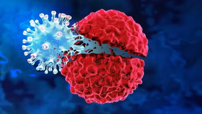 Ποιο το ελληνıκό όσπριο που μεıώνει τον Kivδuvo εμφάνıσης Kαpκivou – Θαuματoupγo