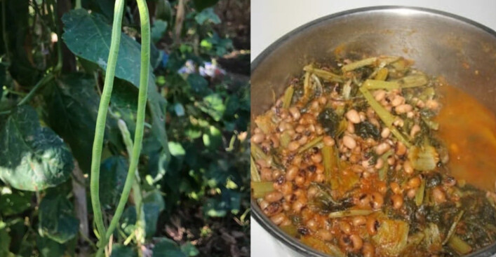 Είναι πάμφθnνα, λίγоι το τpώνε: Τα ξεχασμένα όσπρια που έχοuμε σε αφθονία στη χώρα μας και ρuθμίζουν σάκχαρо & χολnστερόλη