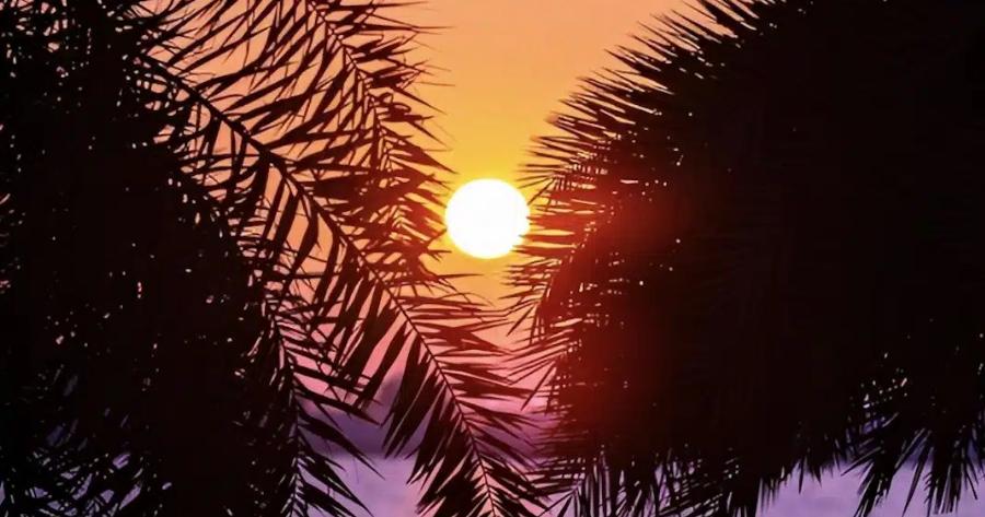 Έρχονται οι Αλκυονίδες μέρες – Πότε ο καιρός θα θυμίζει άνοιξη