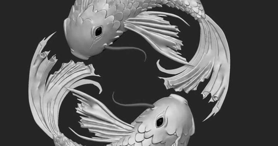 Ο Ιχθύς με τι ταιριάζει;