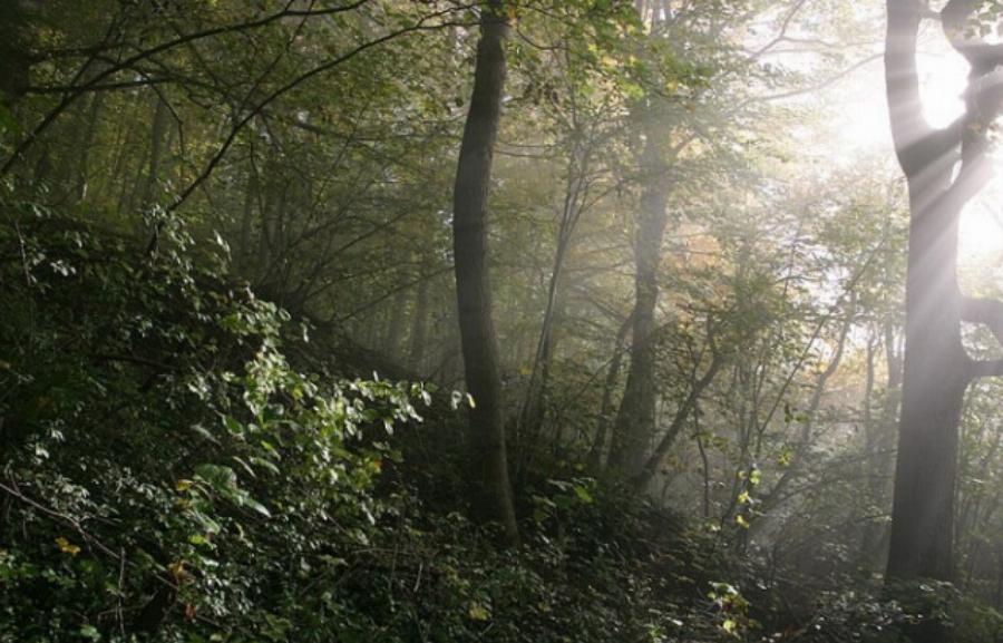 Πήγε στην τουαλέτα & εξαφανίστηκε για 57 χρόνια: Σήμερα τον βρήκαν θαμμένο στο χωράφι, «πάγωσε» η οικογένειά του