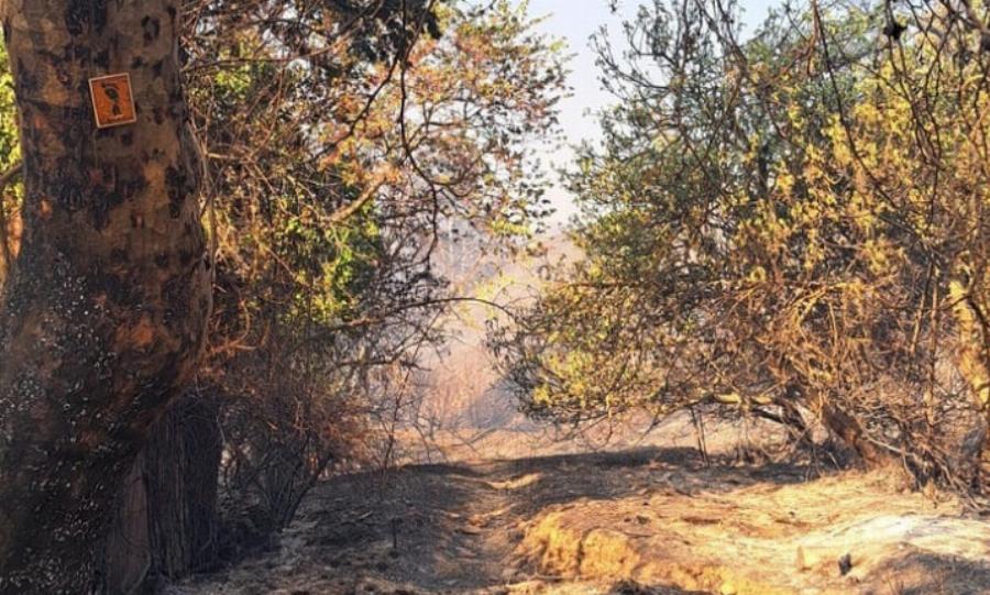 Πήγε στην τουαλέτα & εξαφανίστηκε για 57 χρόνια: Σήμερα τον βρήκαν θαμμένο στο χωράφι, «πάγωσε» η οικογένειά του