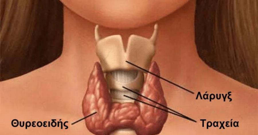 Τον τρως και… δυναμώνεις: Ο εξωτικός καρπός που λατρεύει ο θυρεοειδής – Προστατεύει την καρδιά και «ξυπνά» το μυαλό