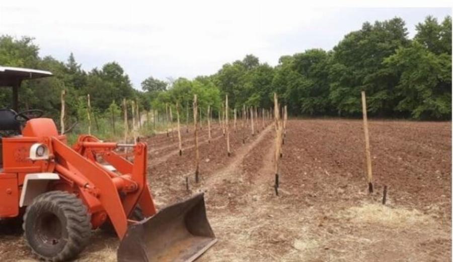 Ο αγρότης Βασίλης Καρράς: Η φάρμα που έφτιαξε στο Κοκκινοχώρι με τα βιολογικά προϊόντα