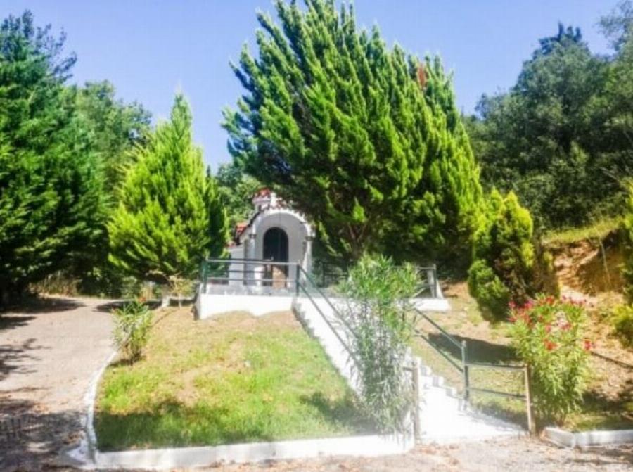 Ο αγρότης Βασίλης Καρράς: Η φάρμα που έφτιαξε στο Κοκκινοχώρι με τα βιολογικά προϊόντα