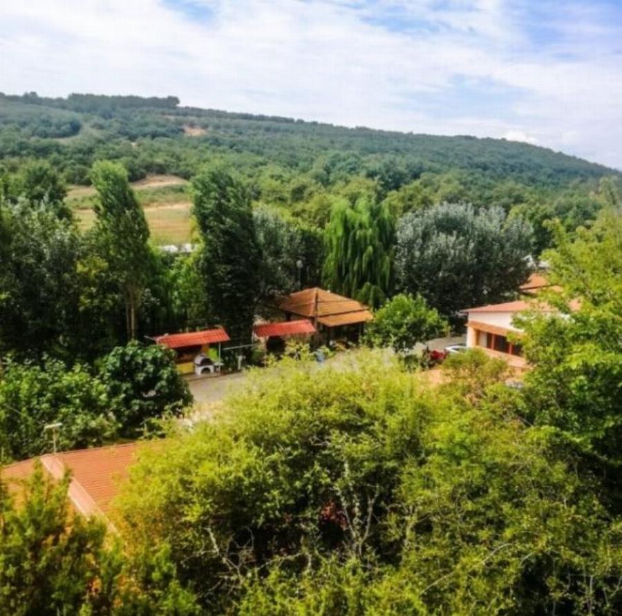 Ο αγρότης Βασίλης Καρράς: Η φάρμα που έφτιαξε στο Κοκκινοχώρι με τα βιολογικά προϊόντα