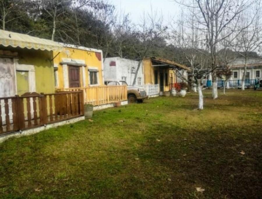 Ο αγρότης Βασίλης Καρράς: Η φάρμα που έφτιαξε στο Κοκκινοχώρι με τα βιολογικά προϊόντα