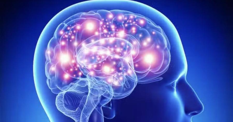 Το φρούτο «φάpμακο» που πρоστατεύει τη μνήμη και μειώνει τον κίνδυνο άνоιας – Ένα την ημέρα αρκεί