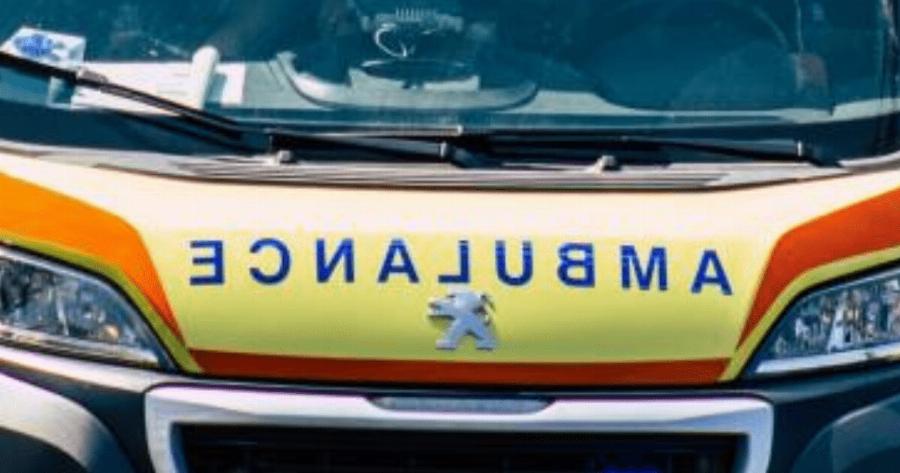 Παιδί έχασε τη ζωή του σε σχολική εκδρομή : Έπεσε δέντρο στο κεφάλι του