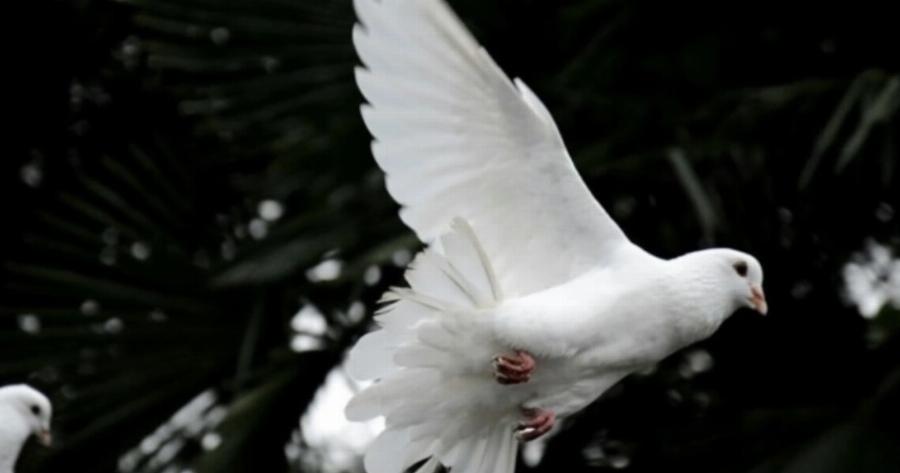 Πότε πέφτει το τριήμερο του Αγίου Πνεύματος 2024 – Ποιες είναι οι επόμενες αργίες