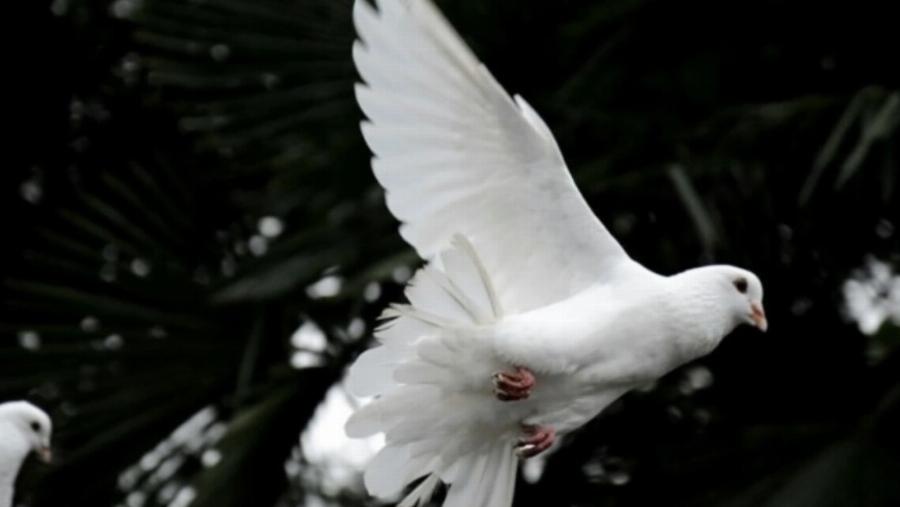 Πότε πέφτει το τριήμερο του Αγίου Πνεύματος 2024 – Ποιες είναι οι επόμενες αργίες