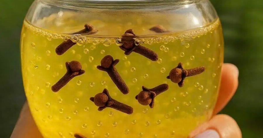 Τζελ γαρίφαλου για να βοηθήσετε την Eξάλειψn των puτίδωv