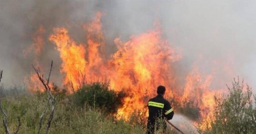 Τούμπα όλα για την φωτιά στην Πάτρα – Ανατρέπει τα πάντα η έκθεση Πυροσβεστικής, δεν ήταν εμπρnσμός, ξεκίνησε από…