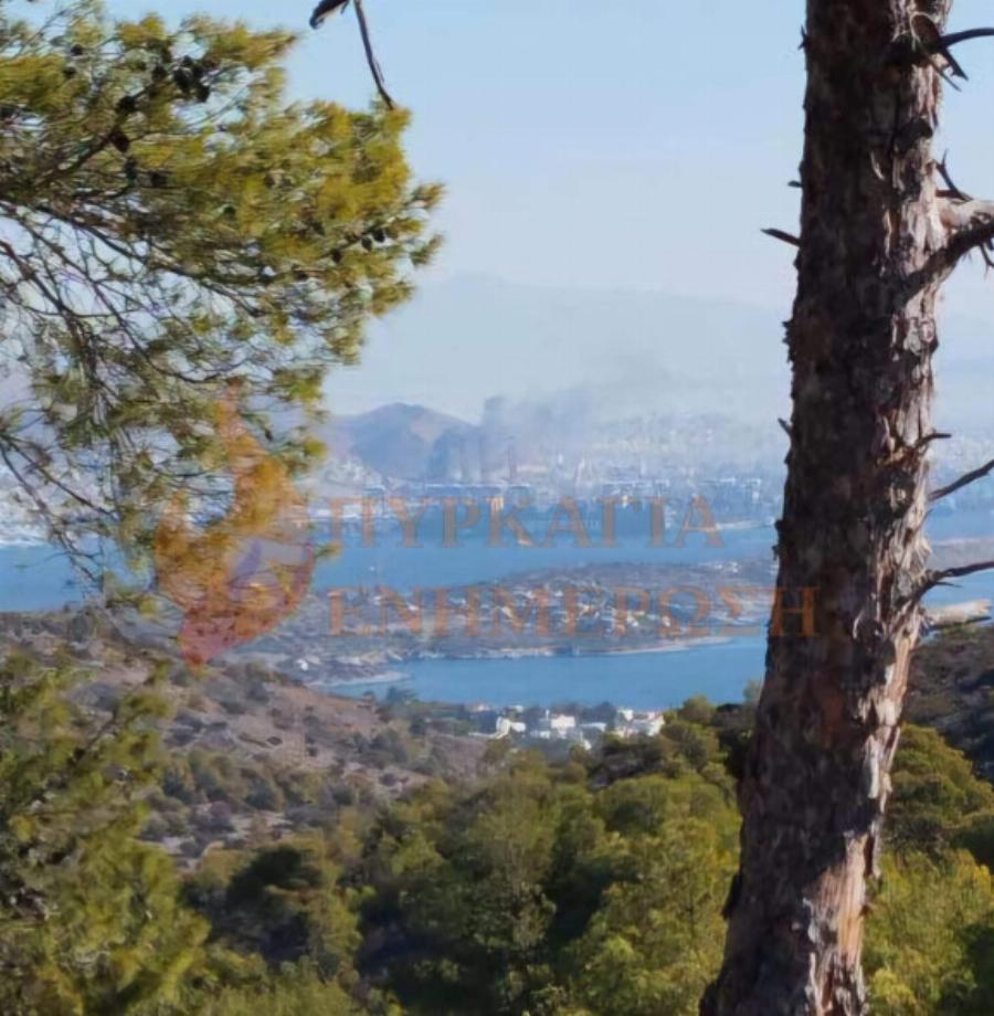 ΕΚΤΑΚΤΟ – Μεγάλη Φωτιά ΤΩΡΑ στην Αττική με εκρήξεις – Συναγερμός στην Πυροσβεστική