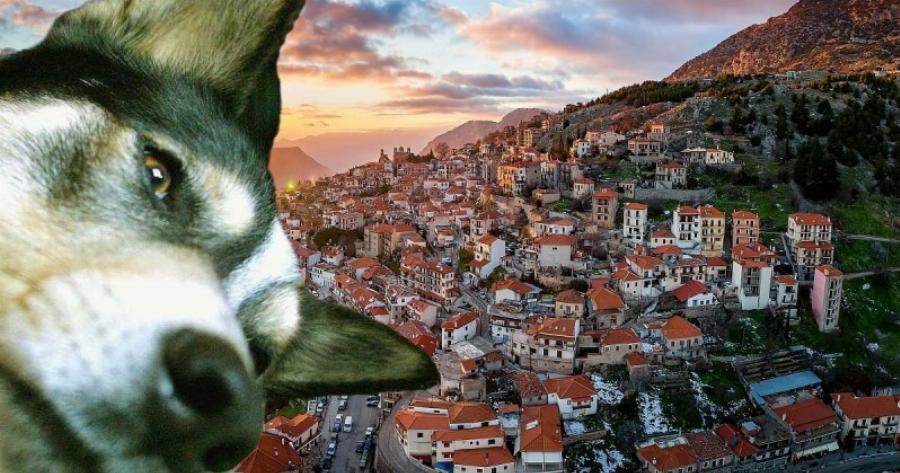 Ξεγελούσε τους πάντες ως τώρα: Ταυτοποιήθηκε ο δράστης που ευθύνεται για τον θάνατο του Όλιβερ από την Αράχωβα