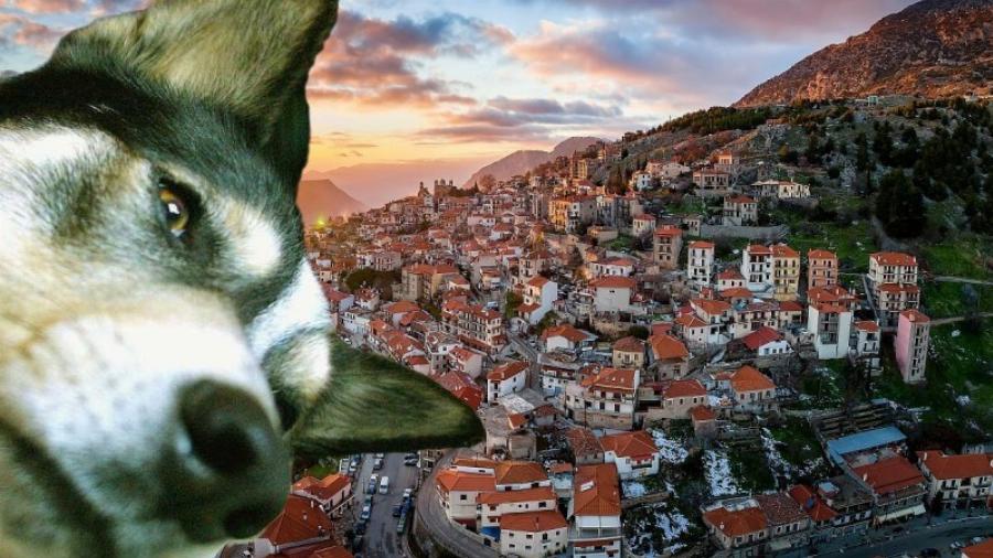 Ξεγελούσε τους πάντες ως τώρα: Ταυτοποιήθηκε ο δράστης που ευθύνεται για τον θάνατο του Όλιβερ από την Αράχωβα