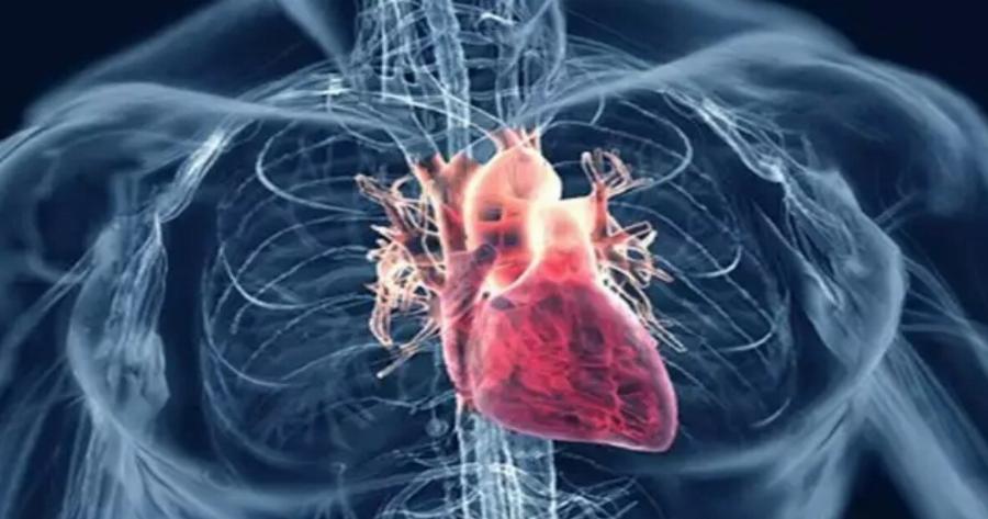 Αθώο καρδιακό φύσημα: Τι σημαίνει Φύσημα στην καρδιά – Ποια είναι τα συμπτώματα προκαλεί