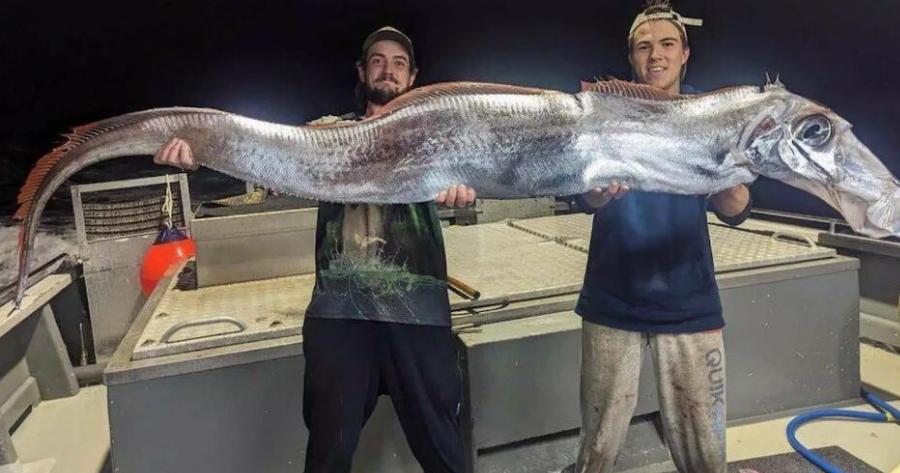 Ψαράδες έπιασαν το «ψάρι της Aπoκάλυψης» – Τι φέρνει η εμφάνισή του