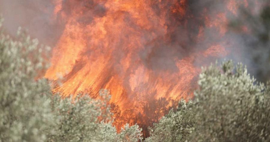 EKTAKTO: Μεγάλη φωτιά ΤΩΡΑ – Στη μάχη 7 εναέρια μέσα