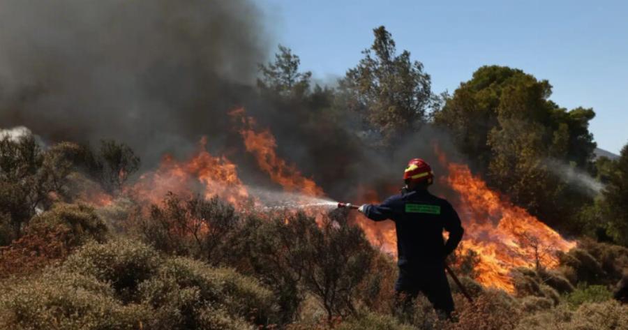 Νέα φωτιά τώρα – Συναγερμός στην Πυροσβεστική