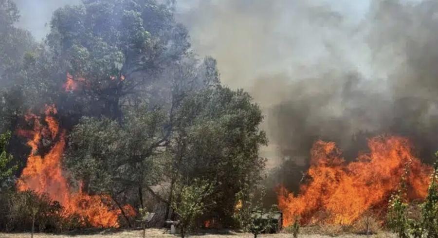 Κινδυνεύουν σπίτια Νέα φωτιά τώρα – Συναγερμός στην πυροσβεστική – Κινδυνεύουν σπίτια