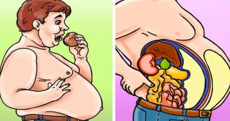 Λίπος στην κοιλιά: Η διατροφή που το «καίει» με τετραπλάσιο ρυθμό