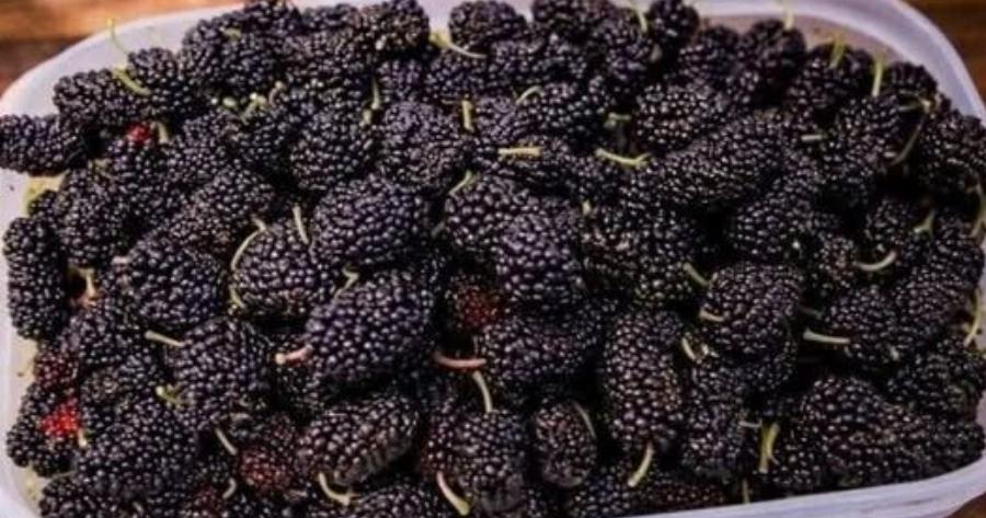 Το έχεις δοκιμάσει ποτέ; Ξέρετε πώς λέγεται; Αυτό το εποχιακό φρούτο βελτιώνει την όραση και ρυθμίζει την αρτηριακή πίεση, αλλά έτσι πρέπει να καταναλώνεται