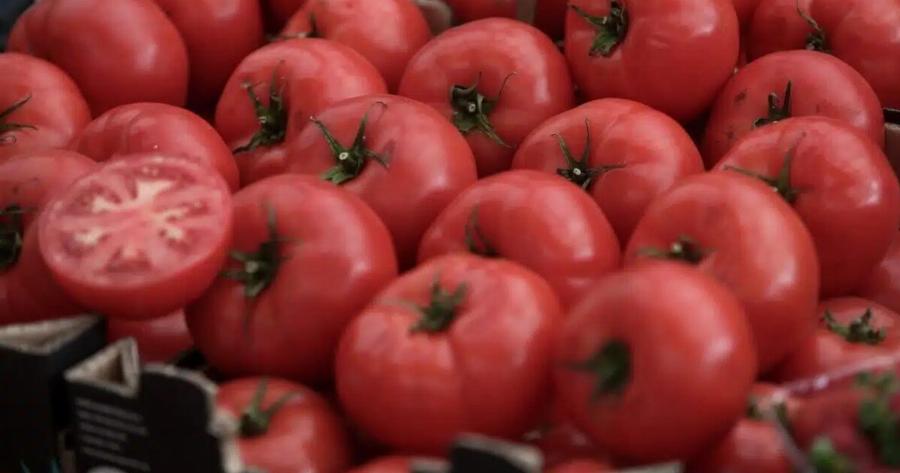 Ντομάτες: Άνοδος στην τıμή τους λόγω της κλιματıκής κρίσης